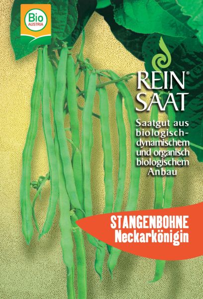 Bohne Stangenbohne Neckarkönigin
