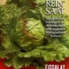 Salat - Eissalat Grazer Krauthäuptel
