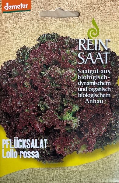 Lollo Rosso Salate 100+ Samen SCHÖN und SCHNELL! Pflücksalat 