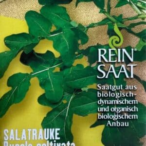 Rucola coltivata (Salatrauke)