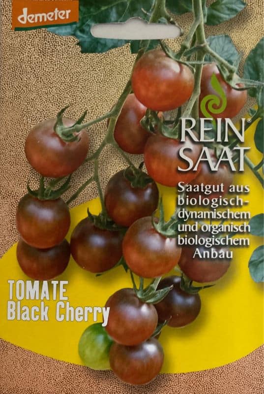 Tomate "Black Cherry"