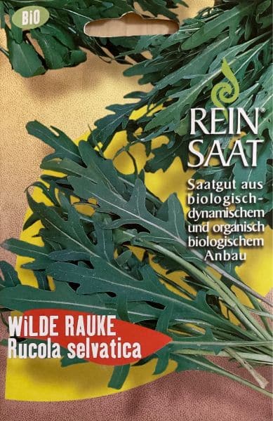 Rucola selvatica - Wilde Rauke